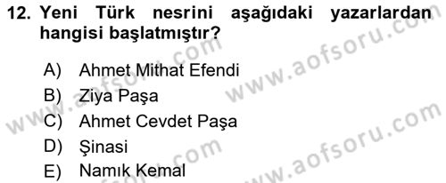 Eleştiri Tarihi Dersi 2021 - 2022 Yılı (Vize) Ara Sınav Soruları 12. Soru