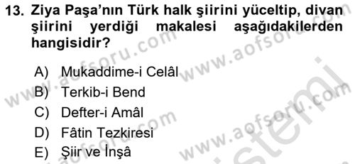 Eleştiri Tarihi Dersi 2021 - 2022 Yılı (Vize) Ara Sınavı 13. Soru