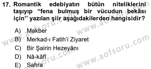 Eleştiri Tarihi Dersi 2021 - 2022 Yılı (Vize) Ara Sınav Soruları 17. Soru