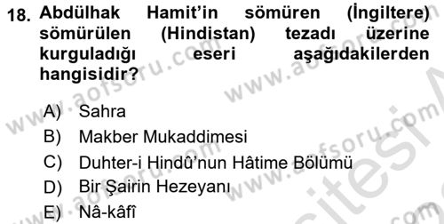 Eleştiri Tarihi Dersi 2021 - 2022 Yılı (Vize) Ara Sınav Soruları 18. Soru