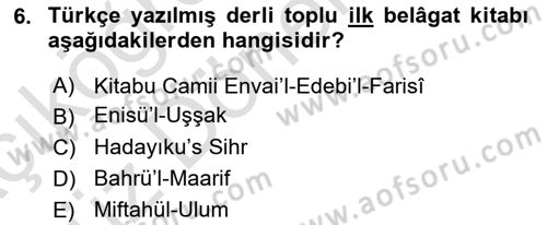 Eleştiri Tarihi Dersi 2021 - 2022 Yılı (Vize) Ara Sınav Soruları 6. Soru