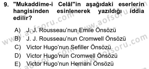 Eleştiri Tarihi Dersi 2021 - 2022 Yılı (Vize) Ara Sınav Soruları 9. Soru