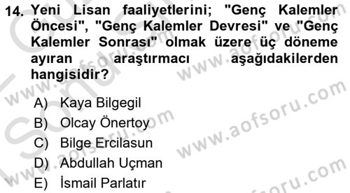 Eleştiri Tarihi Dersi 2021 - 2022 Yılı (Final) Dönem Sonu Sınav Soruları 14. Soru