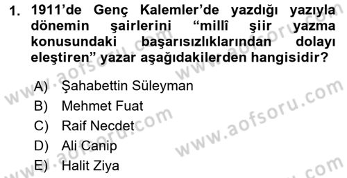 Eleştiri Tarihi Dersi 2021 - 2022 Yılı Yaz Okulu Sınav Soruları 1. Soru
