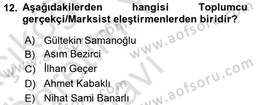Eleştiri Tarihi Dersi 2021 - 2022 Yılı Yaz Okulu Sınav Soruları 12. Soru