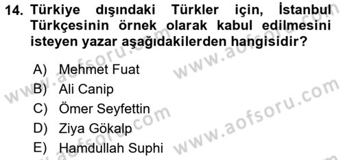 Eleştiri Tarihi Dersi 2021 - 2022 Yılı Yaz Okulu Sınav Soruları 14. Soru