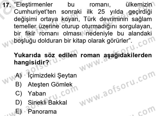 Eleştiri Tarihi Dersi 2021 - 2022 Yılı Yaz Okulu Sınav Soruları 17. Soru