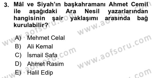 Eleştiri Tarihi Dersi 2021 - 2022 Yılı Yaz Okulu Sınav Soruları 3. Soru