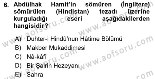 Eleştiri Tarihi Dersi 2021 - 2022 Yılı Yaz Okulu Sınav Soruları 6. Soru