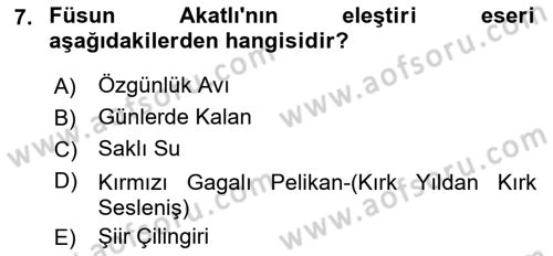 Eleştiri Tarihi Dersi 2021 - 2022 Yılı Yaz Okulu Sınav Soruları 7. Soru
