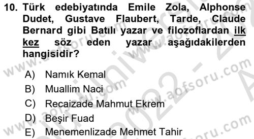 Eleştiri Tarihi Dersi 2022 - 2023 Yılı (Vize) Ara Sınav Soruları 10. Soru