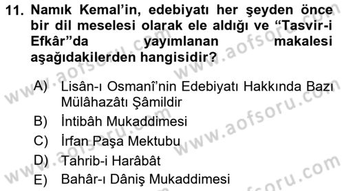 Eleştiri Tarihi Dersi 2022 - 2023 Yılı (Vize) Ara Sınav Soruları 11. Soru