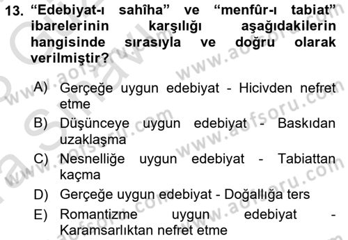 Eleştiri Tarihi Dersi 2022 - 2023 Yılı (Vize) Ara Sınav Soruları 13. Soru