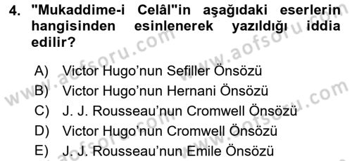 Eleştiri Tarihi Dersi 2022 - 2023 Yılı (Vize) Ara Sınav Soruları 4. Soru