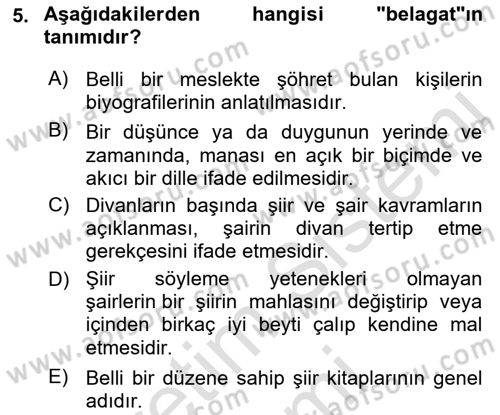Eleştiri Tarihi Dersi 2022 - 2023 Yılı (Vize) Ara Sınav Soruları 5. Soru