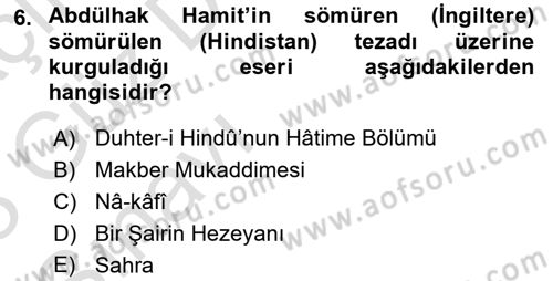 Eleştiri Tarihi Dersi 2022 - 2023 Yılı (Vize) Ara Sınav Soruları 6. Soru