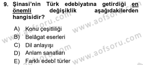 Eleştiri Tarihi Dersi 2022 - 2023 Yılı (Vize) Ara Sınav Soruları 9. Soru