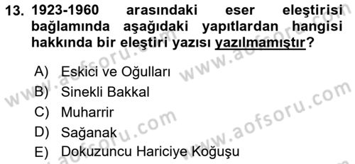 Eleştiri Tarihi Dersi 2022 - 2023 Yılı (Final) Dönem Sonu Sınav Soruları 13. Soru