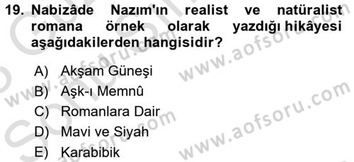 Eleştiri Tarihi Dersi 2022 - 2023 Yılı (Final) Dönem Sonu Sınav Soruları 19. Soru