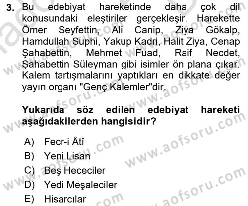 Eleştiri Tarihi Dersi 2022 - 2023 Yılı (Final) Dönem Sonu Sınav Soruları 3. Soru