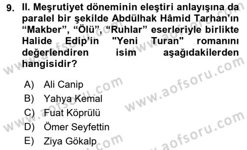 Eleştiri Tarihi Dersi 2022 - 2023 Yılı (Final) Dönem Sonu Sınav Soruları 9. Soru