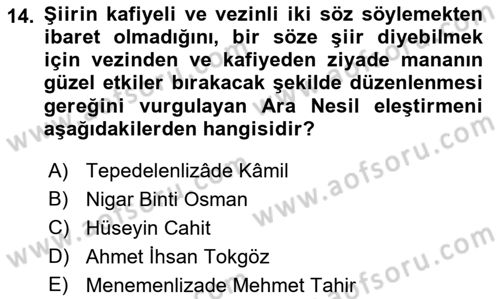Eleştiri Tarihi Dersi 2022 - 2023 Yılı Yaz Okulu Sınav Soruları 14. Soru