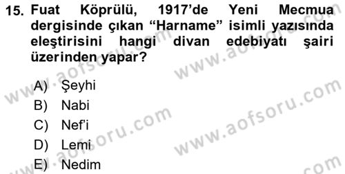 Eleştiri Tarihi Dersi 2022 - 2023 Yılı Yaz Okulu Sınav Soruları 15. Soru