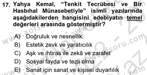 Eleştiri Tarihi Dersi 2022 - 2023 Yılı Yaz Okulu Sınav Soruları 17. Soru
