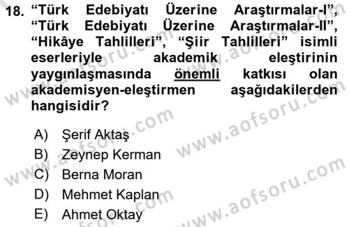 Eleştiri Tarihi Dersi 2022 - 2023 Yılı Yaz Okulu Sınav Soruları 18. Soru