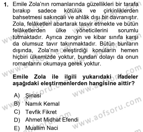 Eleştiri Tarihi Dersi 2023 - 2024 Yılı (Vize) Ara Sınav Soruları 1. Soru