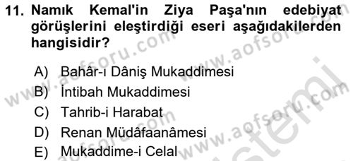 Eleştiri Tarihi Dersi 2023 - 2024 Yılı (Vize) Ara Sınav Soruları 11. Soru