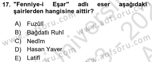 Eleştiri Tarihi Dersi 2023 - 2024 Yılı (Vize) Ara Sınav Soruları 17. Soru