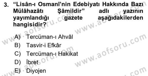 Eleştiri Tarihi Dersi 2023 - 2024 Yılı (Vize) Ara Sınav Soruları 3. Soru