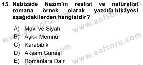Eleştiri Tarihi Dersi 2023 - 2024 Yılı (Final) Dönem Sonu Sınav Soruları 15. Soru