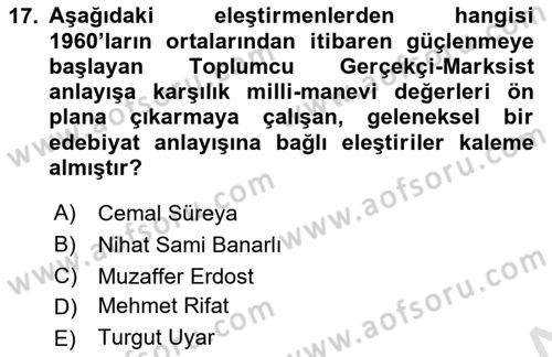 Eleştiri Tarihi Dersi 2023 - 2024 Yılı (Final) Dönem Sonu Sınav Soruları 17. Soru