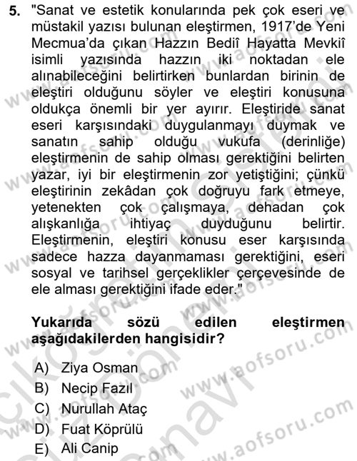 Eleştiri Tarihi Dersi 2023 - 2024 Yılı (Final) Dönem Sonu Sınav Soruları 5. Soru