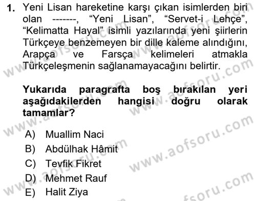 Eleştiri Tarihi Dersi 2023 - 2024 Yılı Yaz Okulu Sınav Soruları 1. Soru
