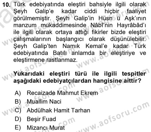 Eleştiri Tarihi Dersi 2023 - 2024 Yılı Yaz Okulu Sınav Soruları 10. Soru