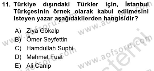Eleştiri Tarihi Dersi 2023 - 2024 Yılı Yaz Okulu Sınav Soruları 11. Soru