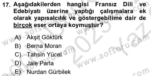 Eleştiri Tarihi Dersi 2023 - 2024 Yılı Yaz Okulu Sınav Soruları 17. Soru