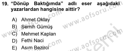 Eleştiri Tarihi Dersi 2023 - 2024 Yılı Yaz Okulu Sınav Soruları 19. Soru