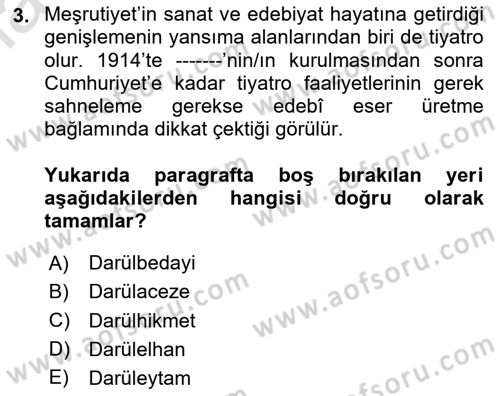 Eleştiri Tarihi Dersi 2023 - 2024 Yılı Yaz Okulu Sınav Soruları 3. Soru