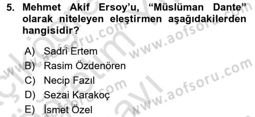 Eleştiri Tarihi Dersi 2023 - 2024 Yılı Yaz Okulu Sınav Soruları 5. Soru