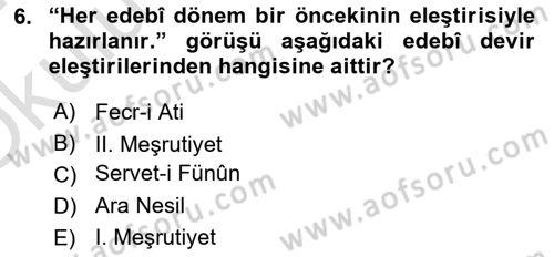 Eleştiri Tarihi Dersi 2023 - 2024 Yılı Yaz Okulu Sınav Soruları 6. Soru