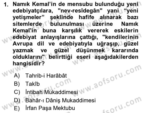 Eleştiri Tarihi Dersi 2024 - 2025 Yılı (Vize) Ara Sınav Soruları 1. Soru