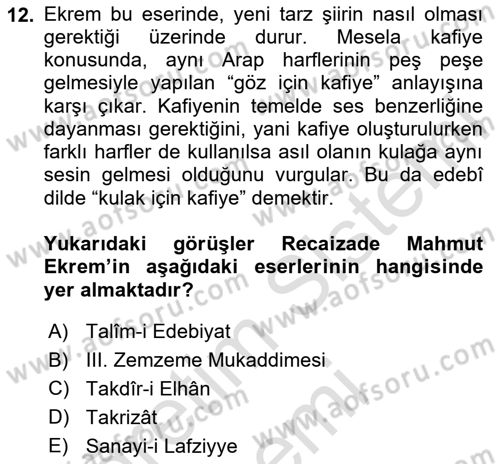 Eleştiri Tarihi Dersi 2024 - 2025 Yılı (Vize) Ara Sınav Soruları 12. Soru