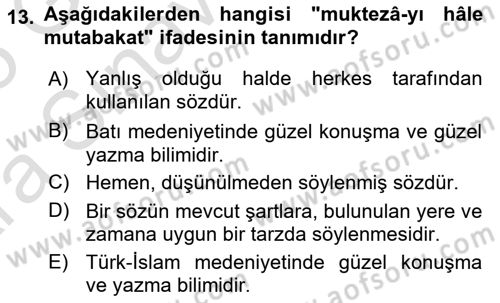 Eleştiri Tarihi Dersi 2024 - 2025 Yılı (Vize) Ara Sınav Soruları 13. Soru
