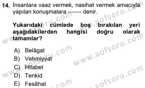 Eleştiri Tarihi Dersi 2024 - 2025 Yılı (Vize) Ara Sınav Soruları 14. Soru