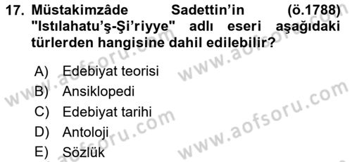 Eleştiri Tarihi Dersi 2024 - 2025 Yılı (Vize) Ara Sınav Soruları 17. Soru