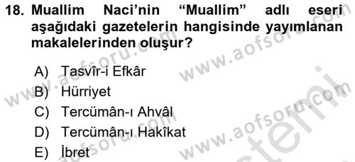 Eleştiri Tarihi Dersi 2024 - 2025 Yılı (Vize) Ara Sınav Soruları 18. Soru